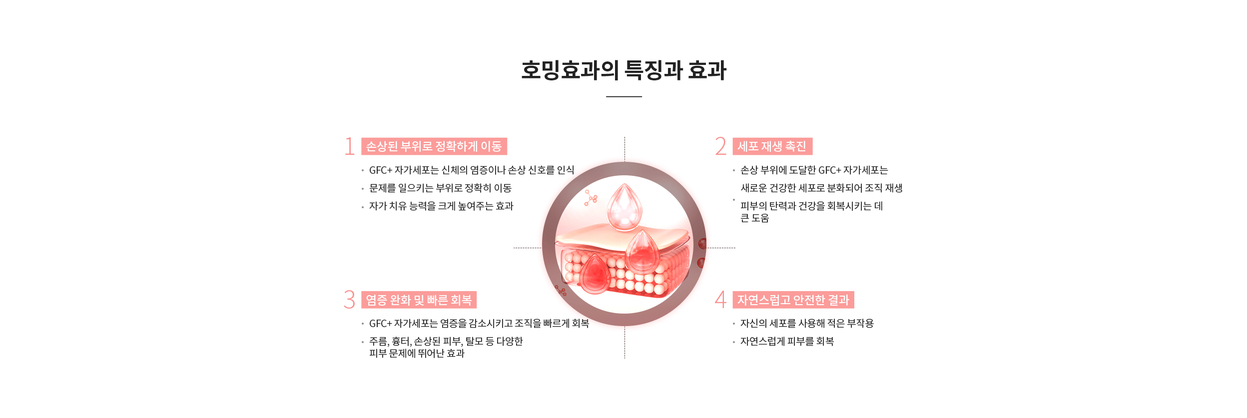 줄기세포 호밍효과의 특징와 효과