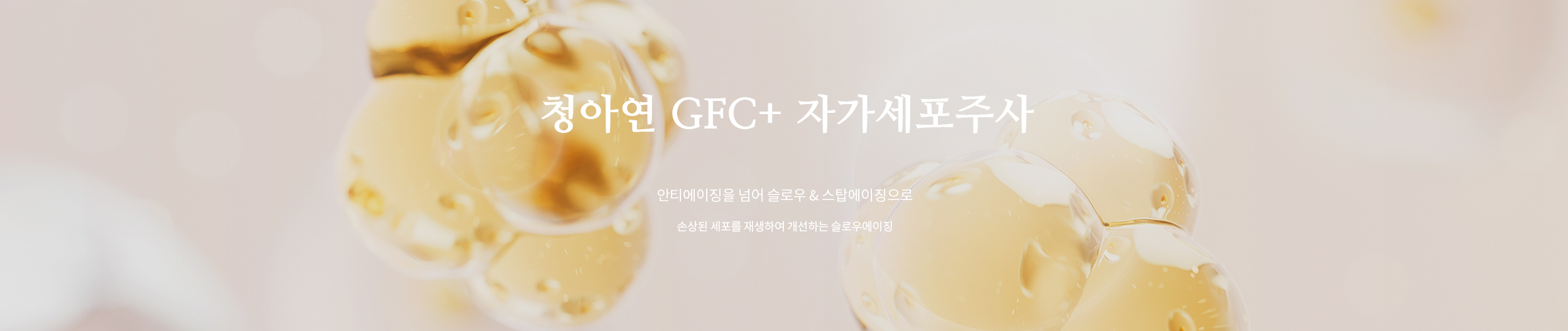 청아연 GFC+ 라쥬니스 줄기세포 피부주사