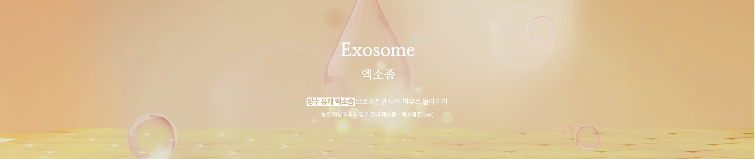 엑소좀(Exosome)