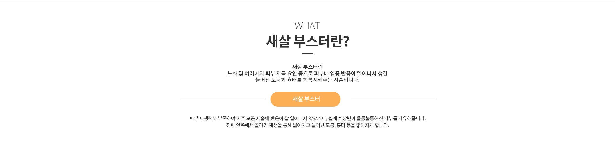 새살 부스터란?