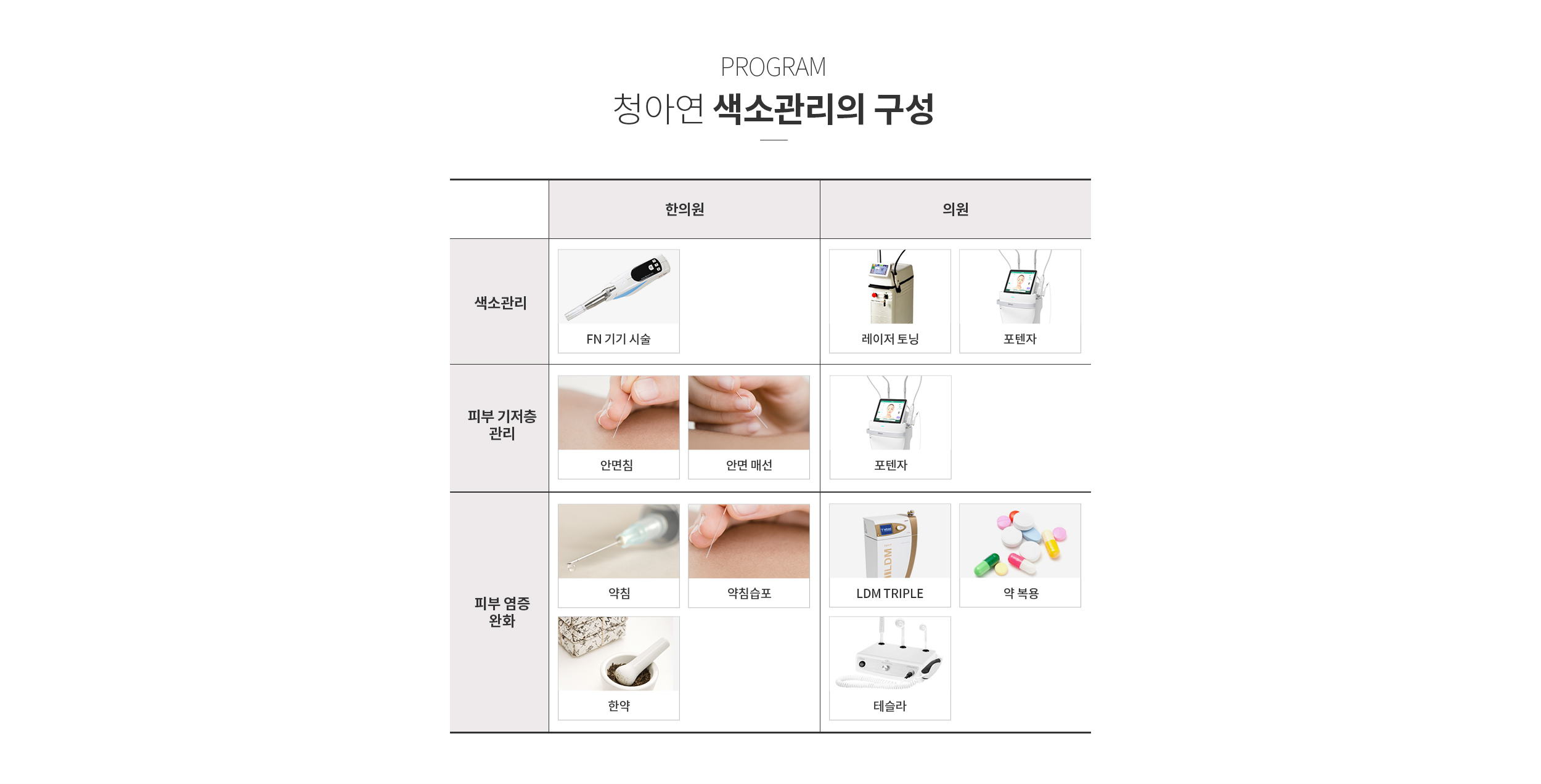 청아연 색소 관리의 구성