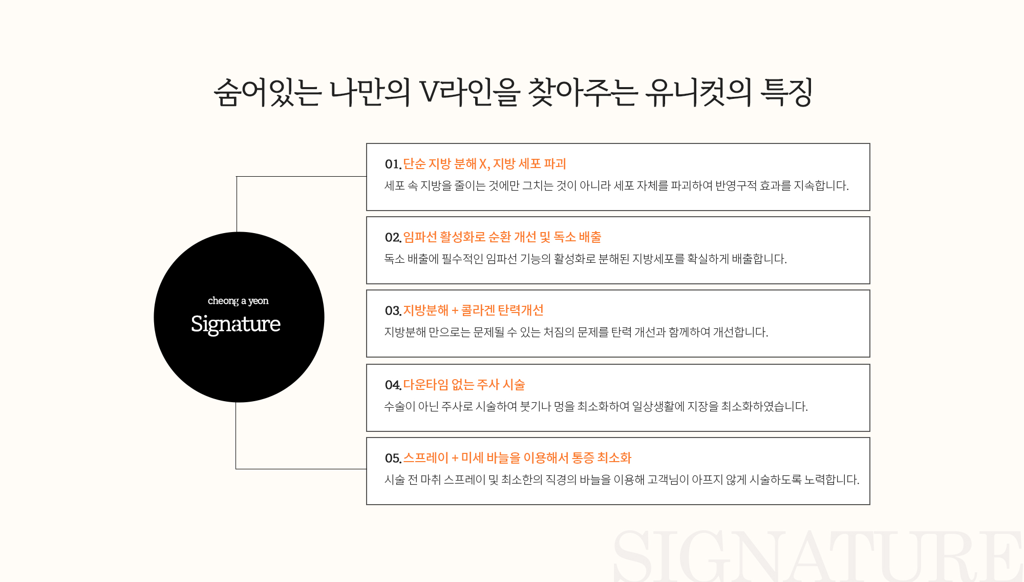 숨어있는 나만의 V라인을 찾아주는 페이스 유니컷의 특징