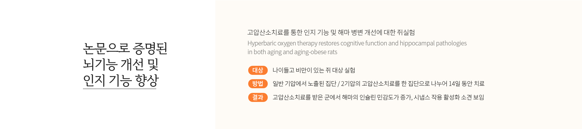 논문으로 증명된 뇌기능 개선 및 인지기능 향상