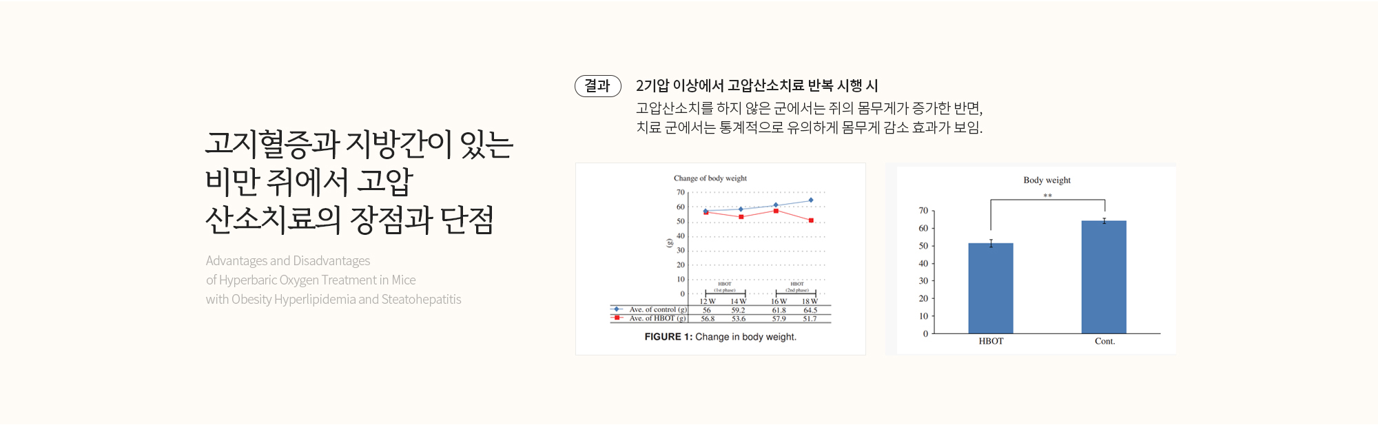 고지혈증, 지방간 고압산소치료의 장단점 시험 결과